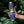 Load image into Gallery viewer, Park Life Explorer Bottle, 22 oz Navy