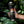 Load image into Gallery viewer, Park Life Explorer Bottle, 22 oz Black