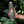 Load image into Gallery viewer, Park Life Explorer Bottle, 22 oz Grey