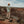 Load image into Gallery viewer, Park Life Camping T-Shirt