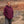 Load image into Gallery viewer, Park Life Live Outdoors Hoodie