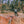 Load image into Gallery viewer, Yosemite Half Dome Long Sleeve T-Shirt