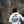Load image into Gallery viewer, Great Smoky Mountains Hoodie