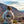 Load image into Gallery viewer, Joshua Tree Hoodie