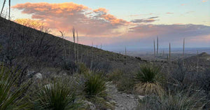 Guadalupe Mountains: An Underrated Gem