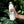 Load image into Gallery viewer, Park Life Explorer Bottle, 22 oz White
