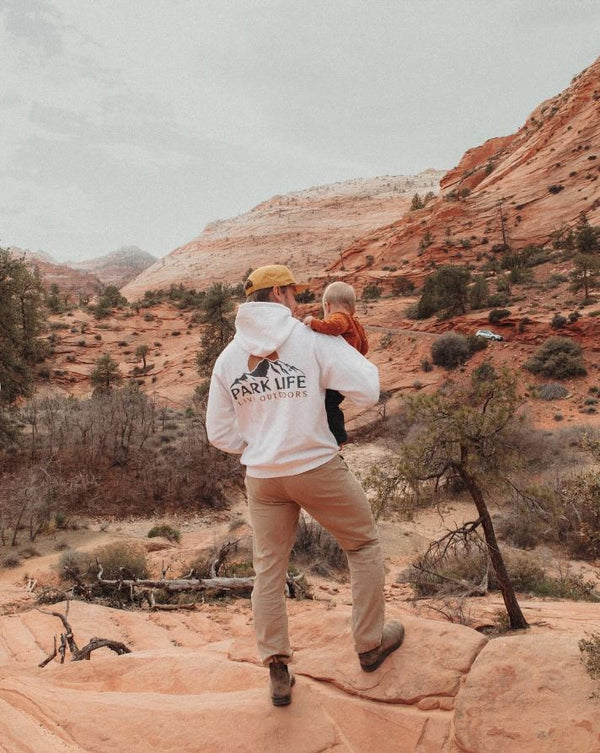 Park Life Mountains Hoodie